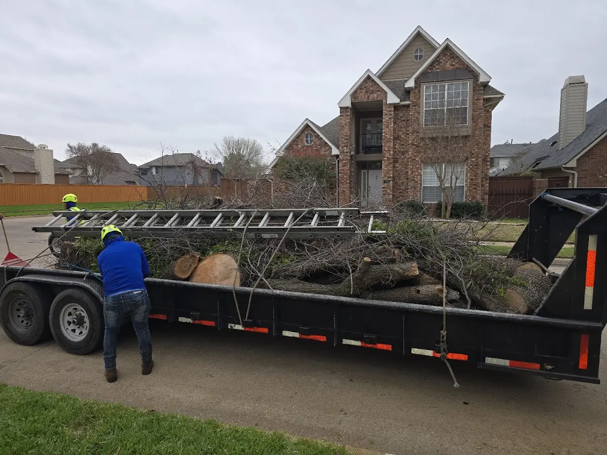 Expert Crown Reduction with proper safety equipment in Huntington Woods